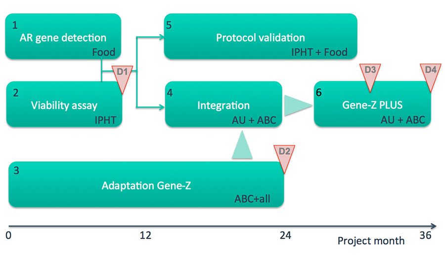 project timeline schematic